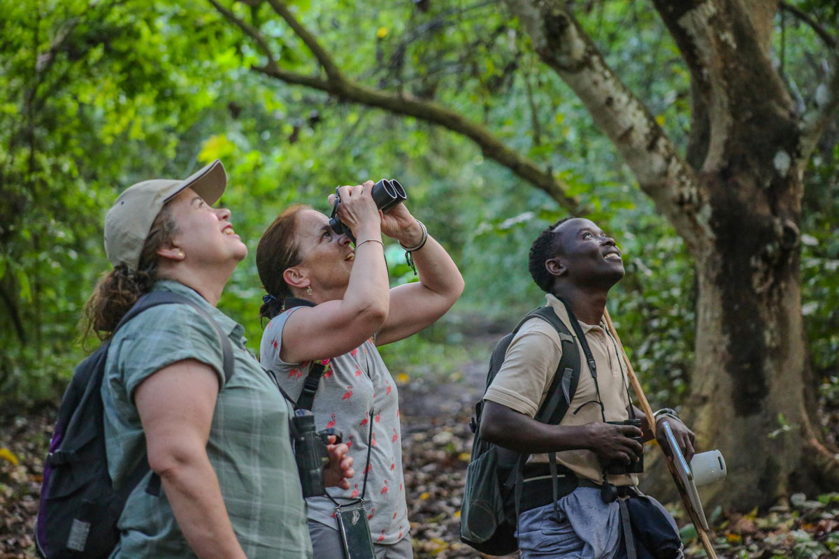 Birding at Kibale Lodge 
